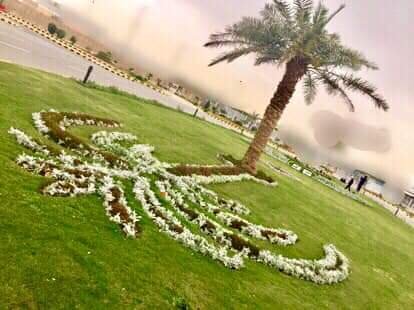 العشب الصناعي